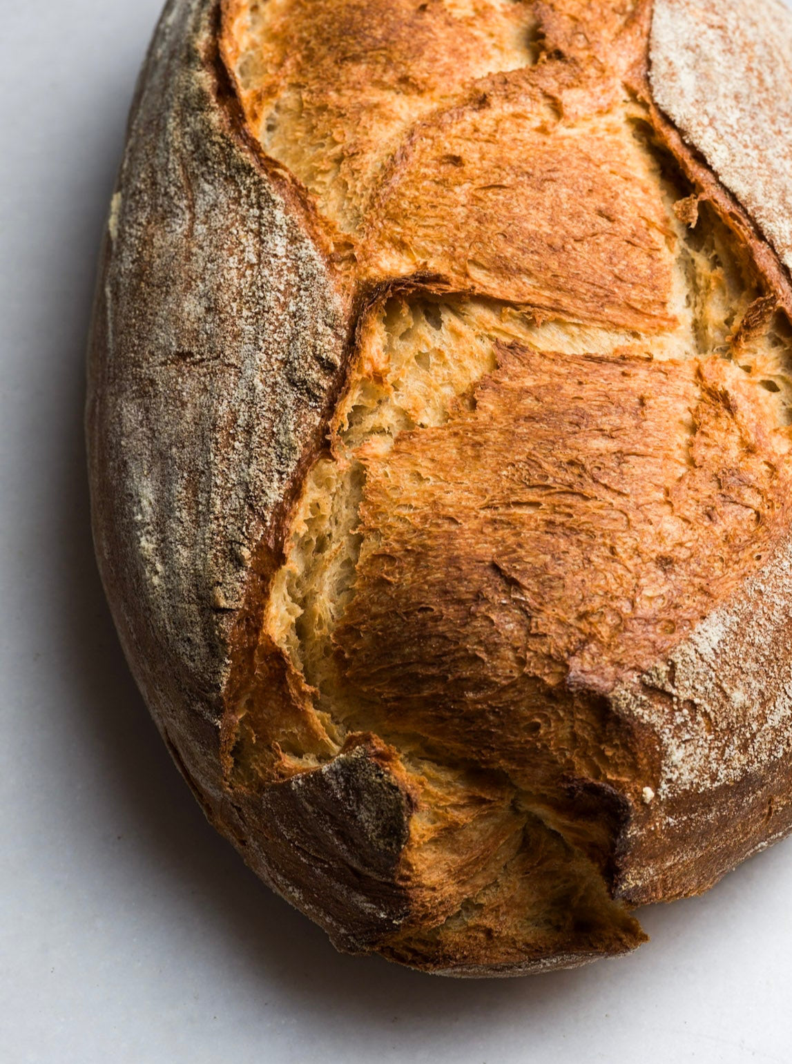 Sourdough Bread