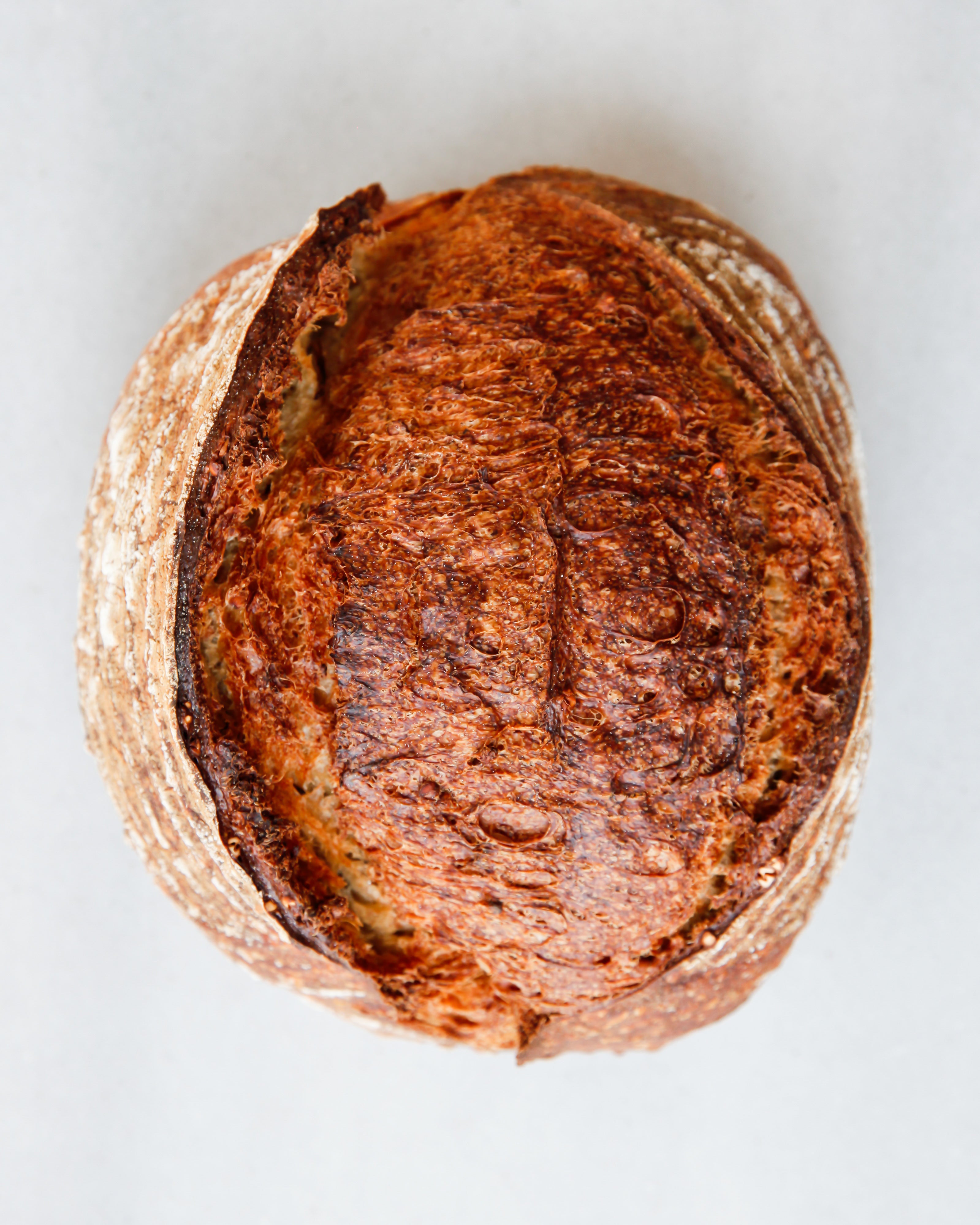 Sourdough Bread